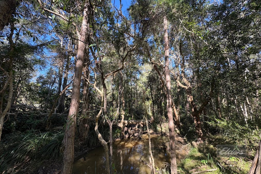 Lot 311 Faine Road, Bauple, QLD, 4650 - Image 4