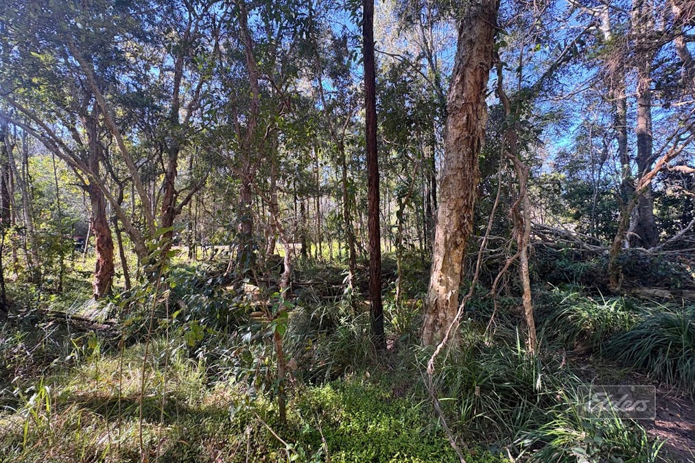 Lot 311 Faine Road, Bauple, QLD, 4650 - Image 5