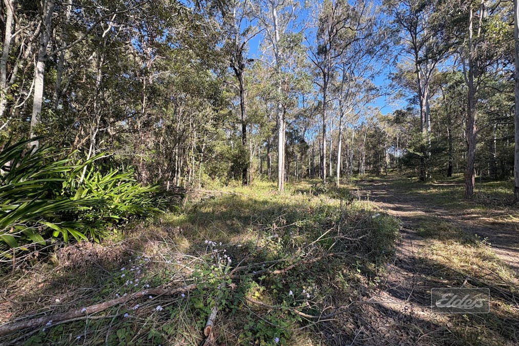 Lot 311 Faine Road, Bauple, QLD, 4650 - Image 9