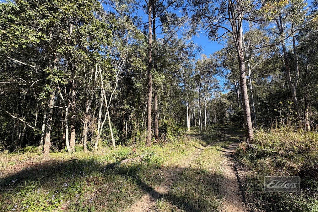 Lot 311 Faine Road, Bauple, QLD, 4650 - Image 1