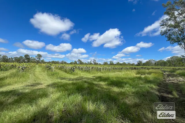 Lot 126 Blowers Road — photo from Elders Real Estate Curra Country