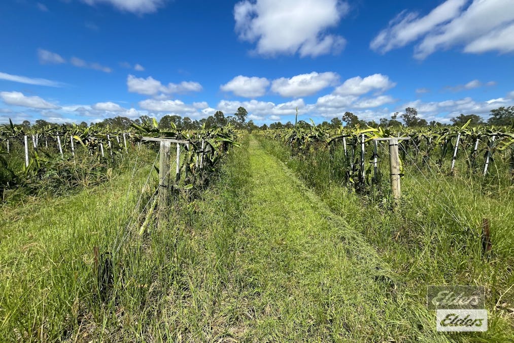 288 Blowers Road, Munna Creek, QLD, 4570 - Image 2