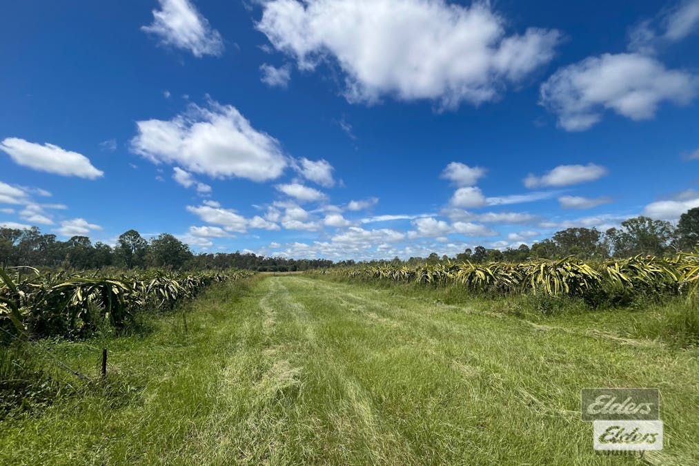 288 Blowers Road, Munna Creek, QLD, 4570 - Image 3