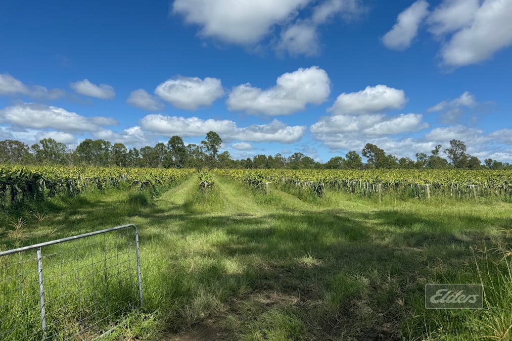 288 Blowers Road, Munna Creek, QLD, 4570 - Image 12