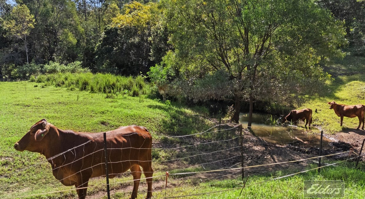 709 Glen Echo Road, Glen Echo, QLD, 4570 - Image 14