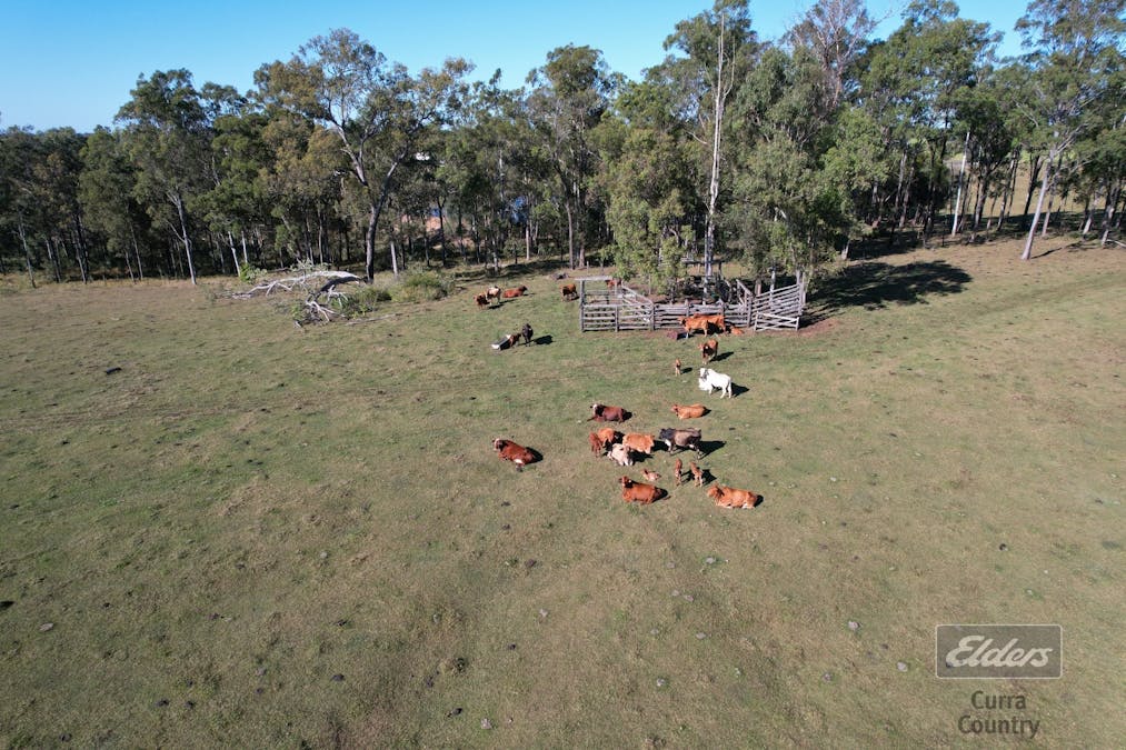 Lot 122 Bauple Drive, Bauple, QLD, 4650 - Image 11