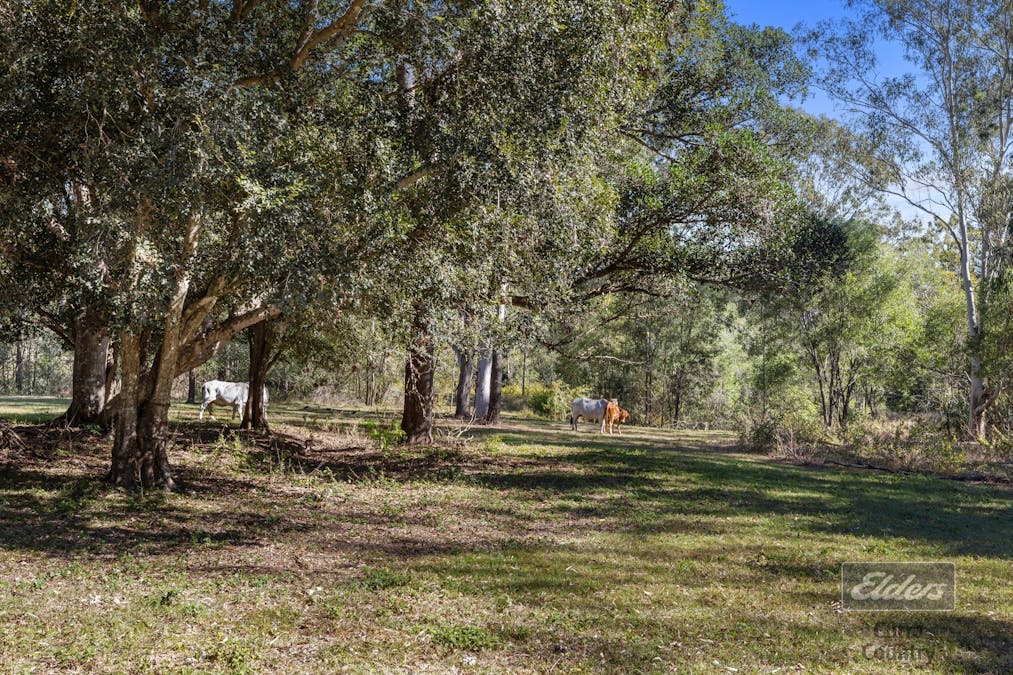 97 Wade Road, Gundiah, QLD, 4650 - Image 29