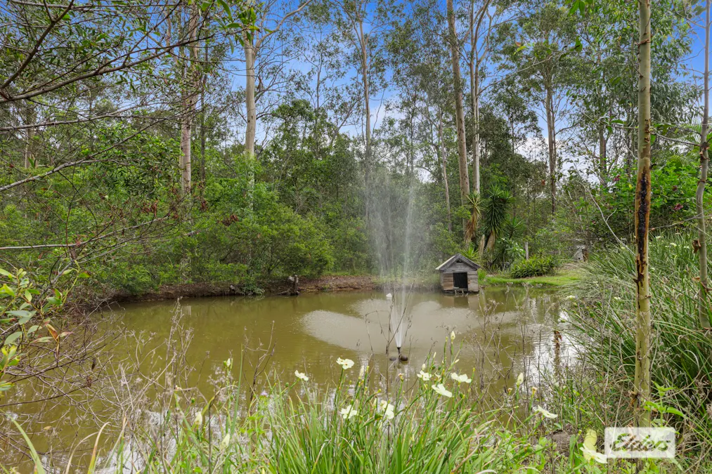 33 Templar Road, Glenwood, QLD, 4570 - Image 4