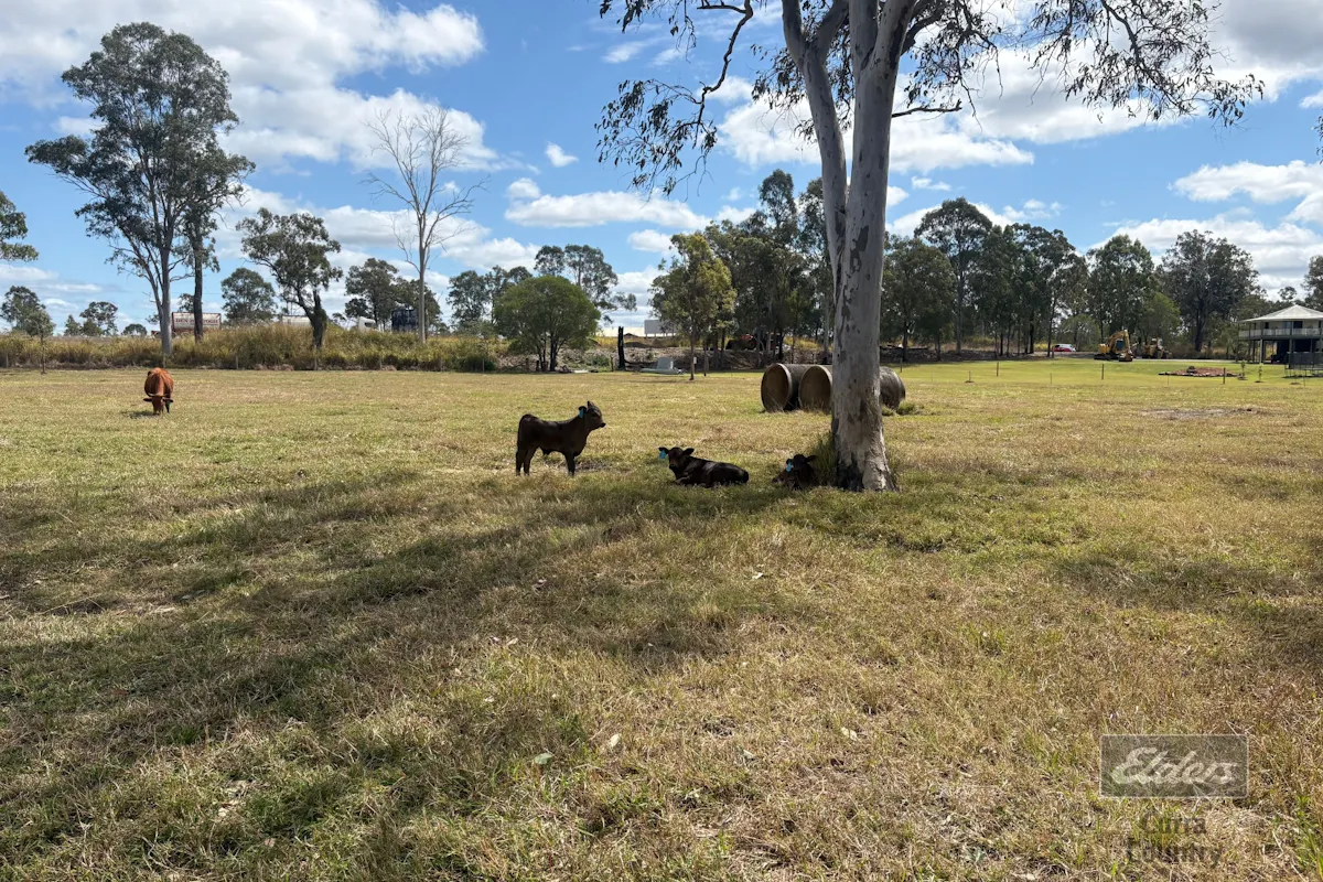 Lot 196 Bruce Highway — photo 12 of 13