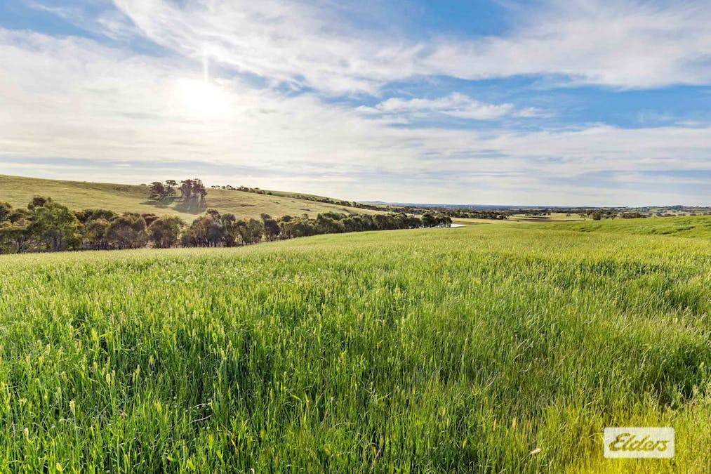 Glendhu Road, Crowlands, VIC, 3377 - Image 26