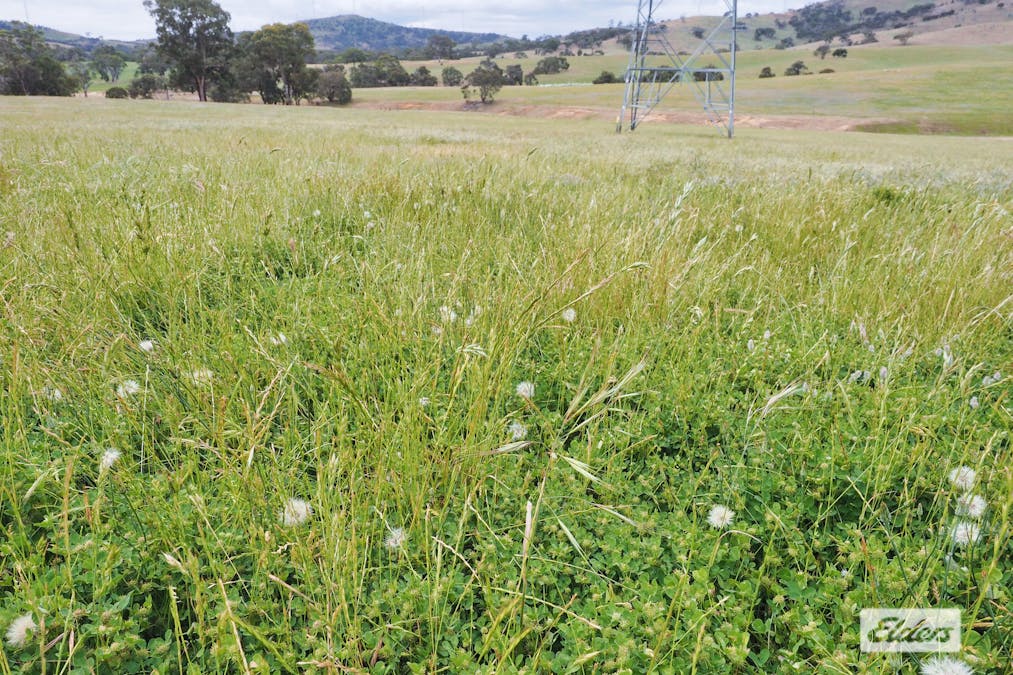 Glendhu Road, Crowlands, VIC, 3377 - Image 29