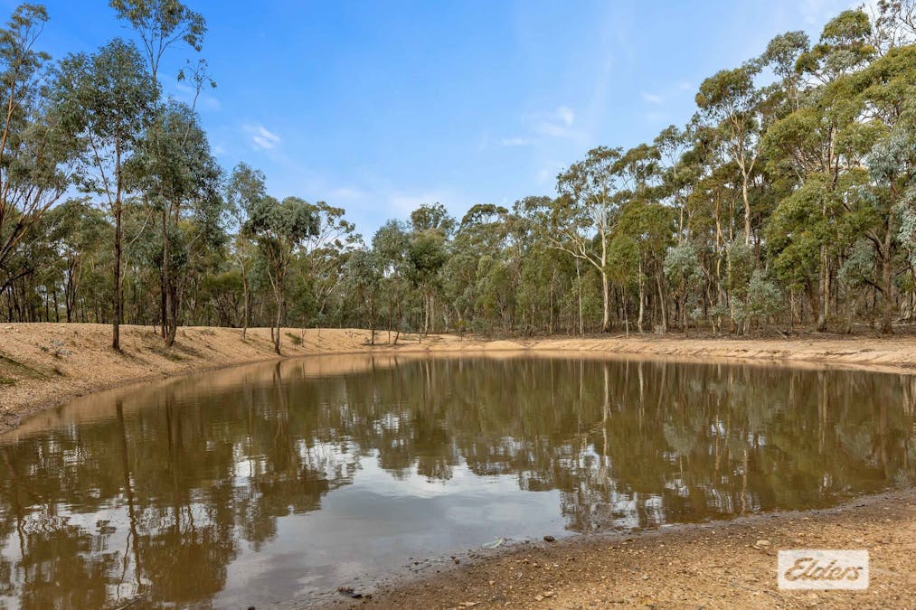 Morrl Morrl Forest Road, Wallaloo East, VIC, 3387 - Image 7