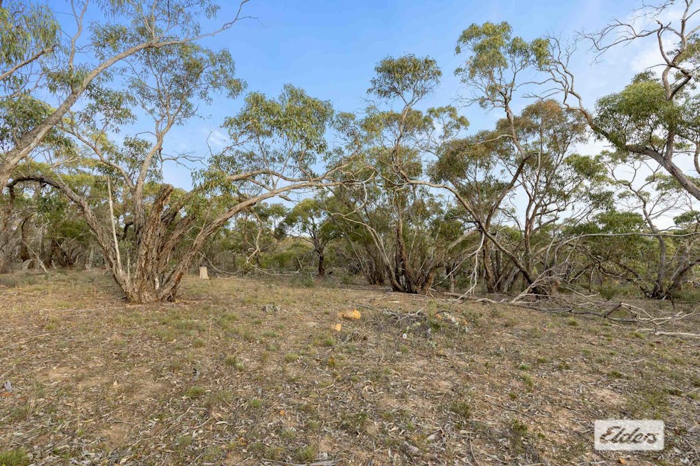 Morrl Morrl Forest Road, Wallaloo East, VIC, 3387 - Image 11