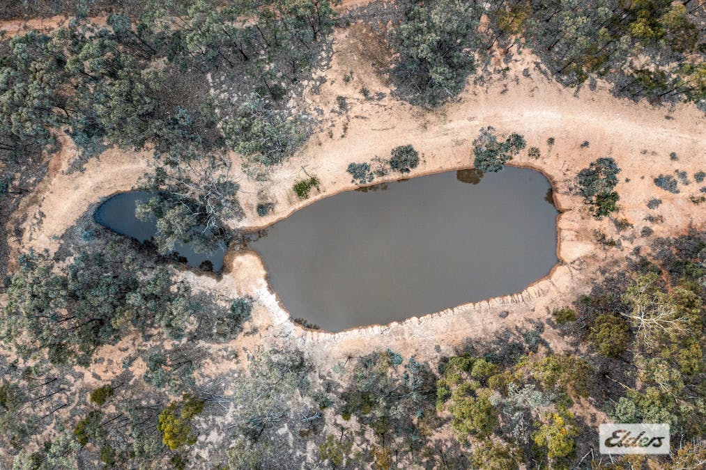 Morrl Morrl Forest Road, Wallaloo East, VIC, 3387 - Image 8