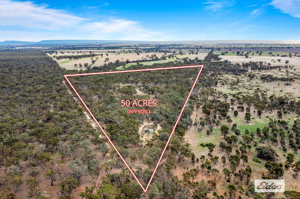 Morrl Morrl Forest Road, Wallaloo East, VIC, 3387 - Image 1