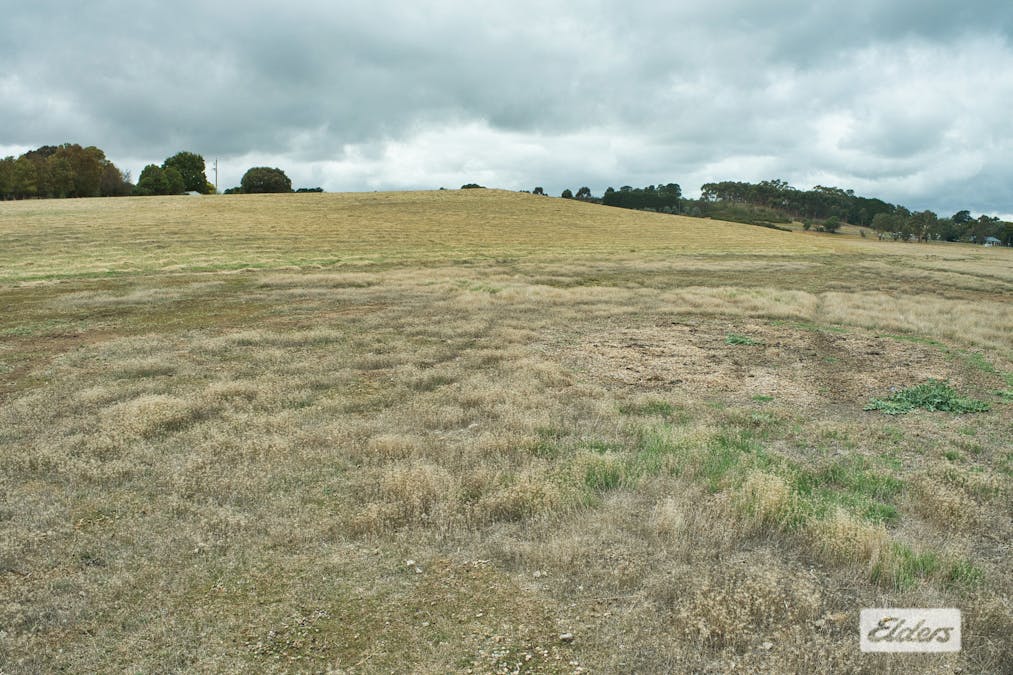 1-6 Glenelg Highway, Wickliffe, VIC, 3379 - Image 11