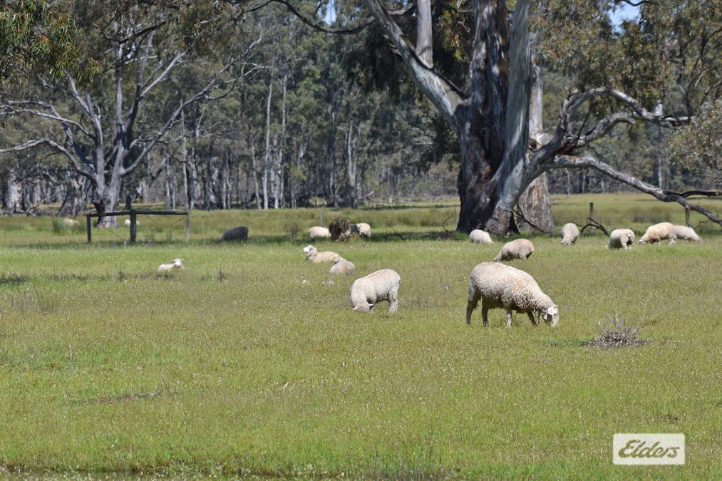 Fyans Creek Road, Fyans Creek, VIC, 3381 - Image 1