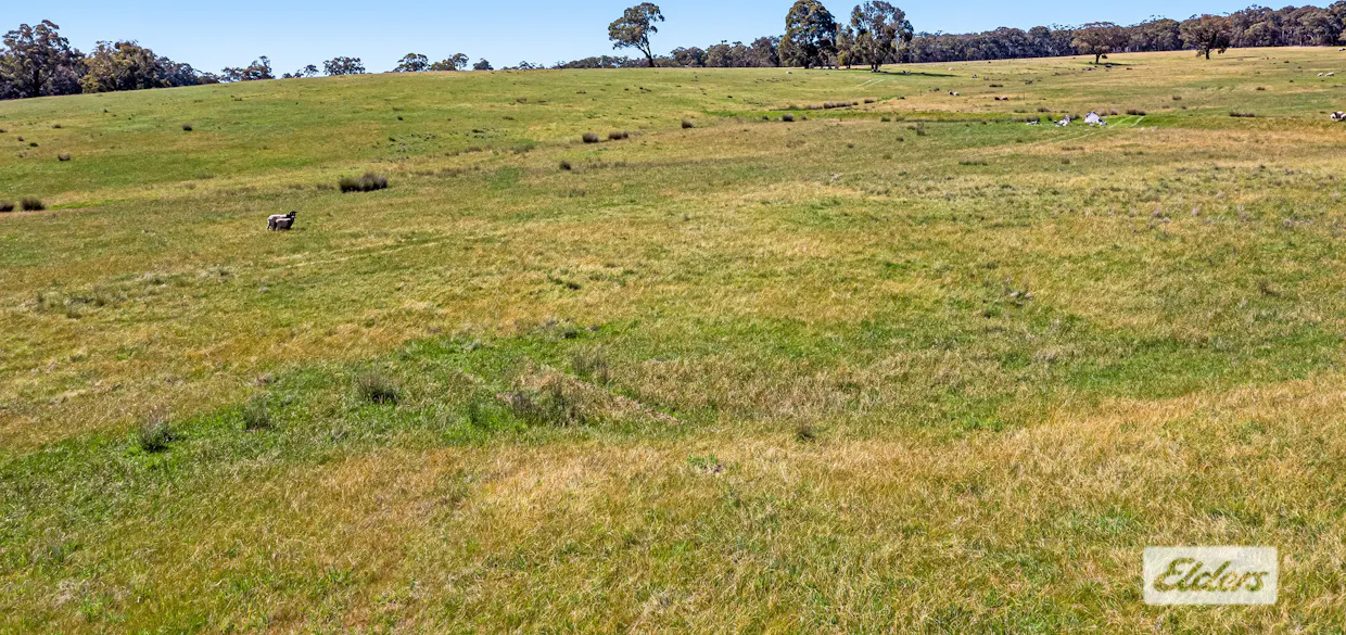 CA66 Government Road, Ararat, VIC, 3377 - Image 8