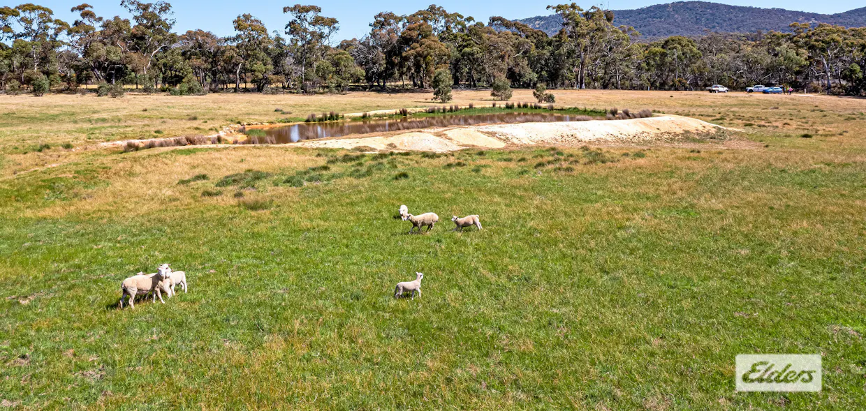 CA66 Government Road, Ararat, VIC, 3377 - Image 4