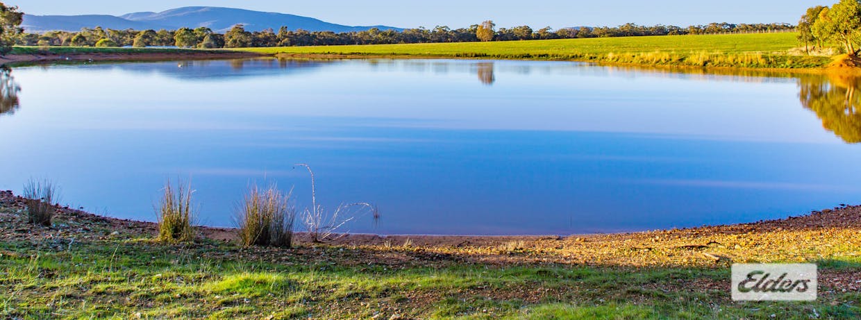194 Rifle Butts Road, Landsborough, VIC, 3384 - Image 3