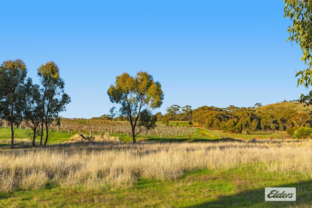 194 Rifle Butts Road, Landsborough, VIC, 3384 - Image 7