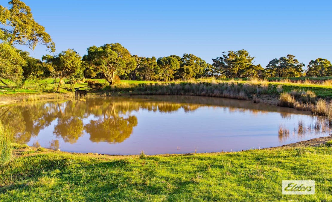 194 Rifle Butts Road, Landsborough, VIC, 3384 - Image 8