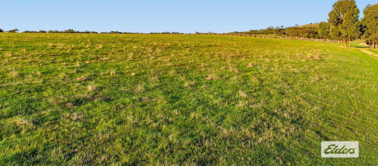 194 Rifle Butts Road, Landsborough, VIC, 3384 - Image 9