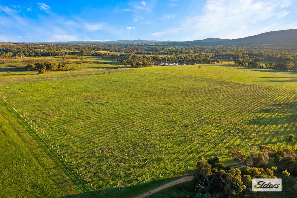 194 Rifle Butts Road, Landsborough, VIC, 3384 - Image 12