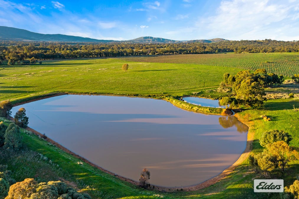 194 Rifle Butts Road, Landsborough, VIC, 3384 - Image 14