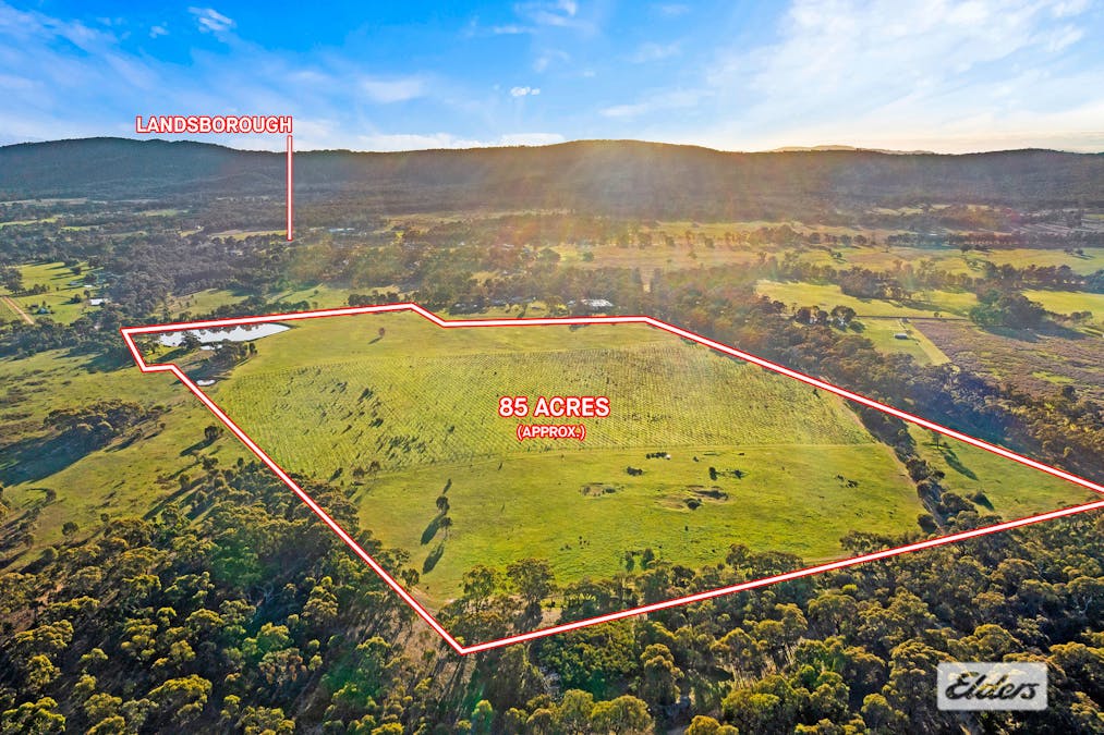 194 Rifle Butts Road, Landsborough, VIC, 3384 - Image 1