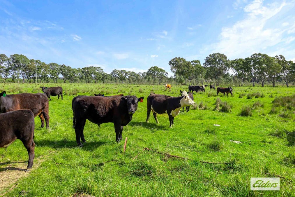 CA 29-33 Warrak Road, Ararat, VIC, 3377 - Image 7