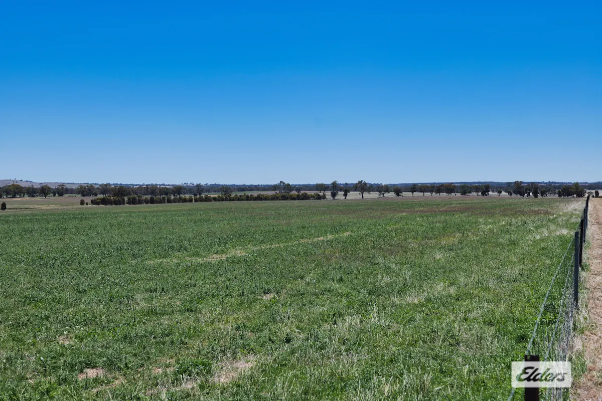 Watta Wella Road, Greens Creek, VIC, 3387 Under Contract Elders