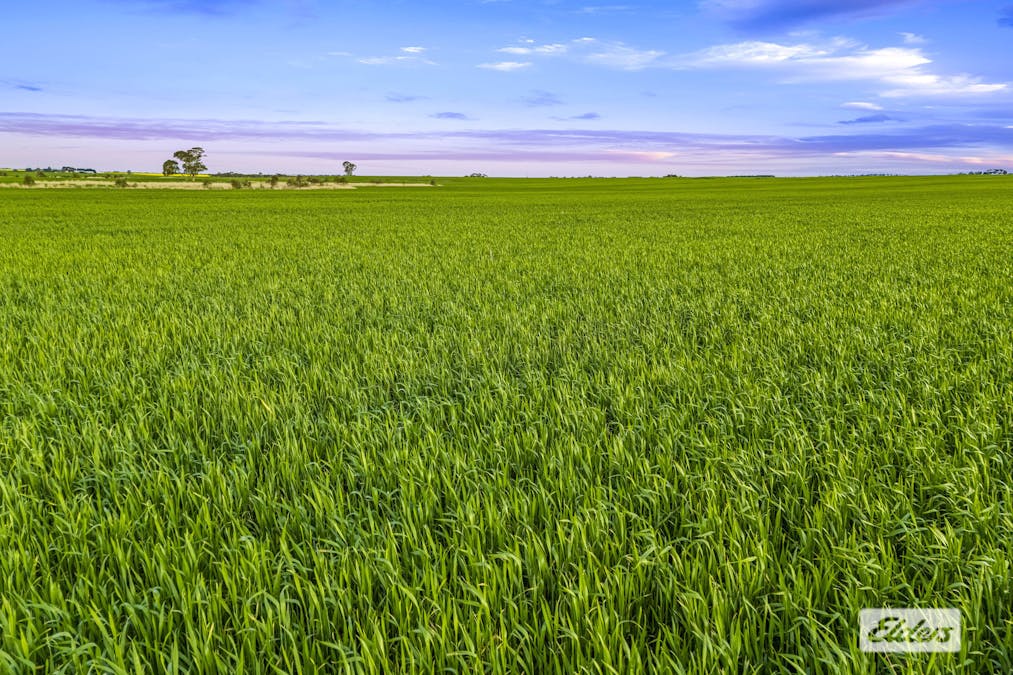 Willaura, VIC, 3379 - Image 4