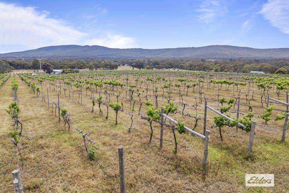 143 Rifle Butts Road, Landsborough, VIC, 3384 - Image 29