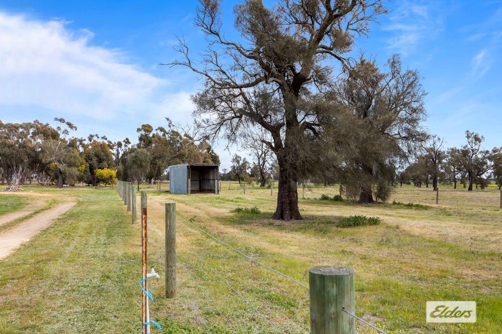 195 Auvergne Road, Marnoo, VIC, 3387 - Image 26