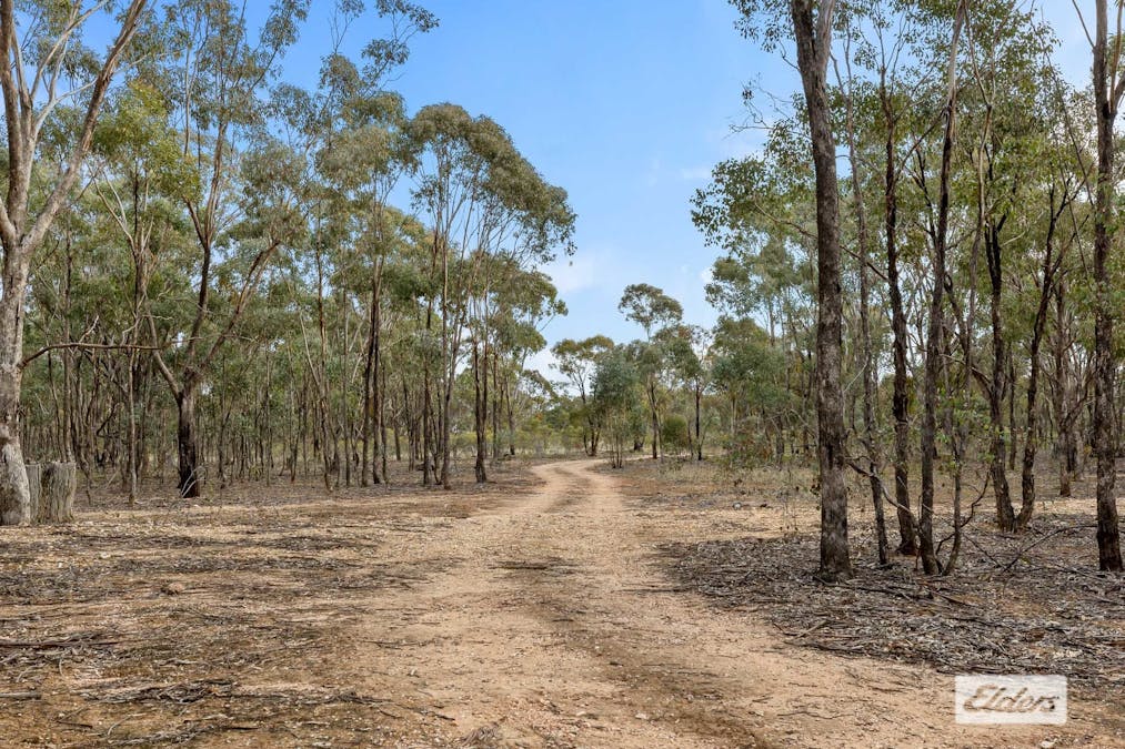 Morrl Morrl Forest Road, Wallaloo East, VIC, 3387 - Image 11