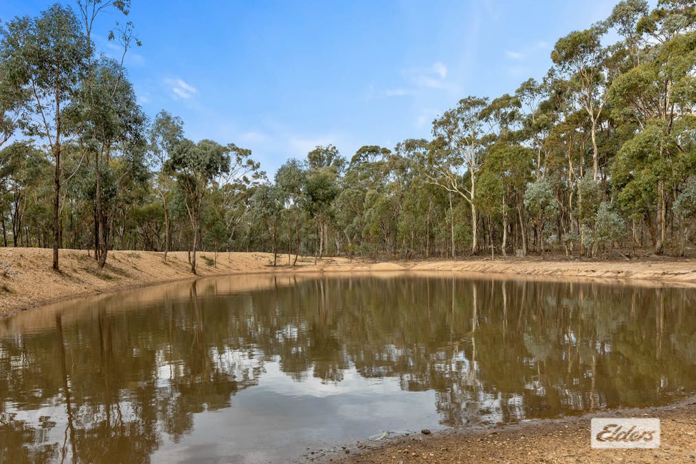 Morrl Morrl Forest Road, Wallaloo East, VIC, 3387 - Image 8