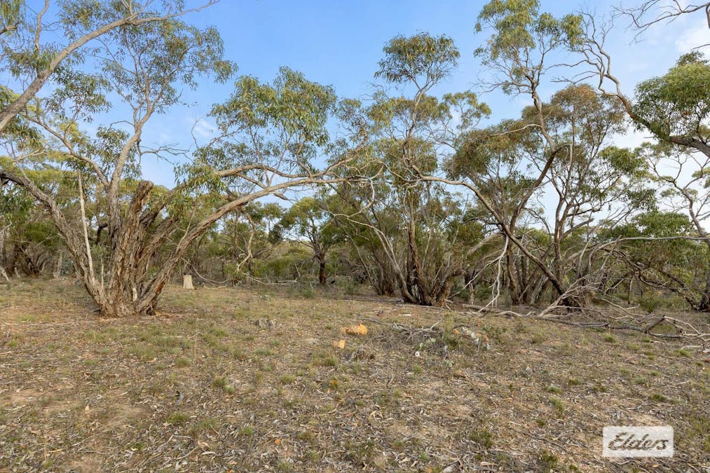 Morrl Morrl Forest Road, Wallaloo East, VIC, 3387 - Image 12