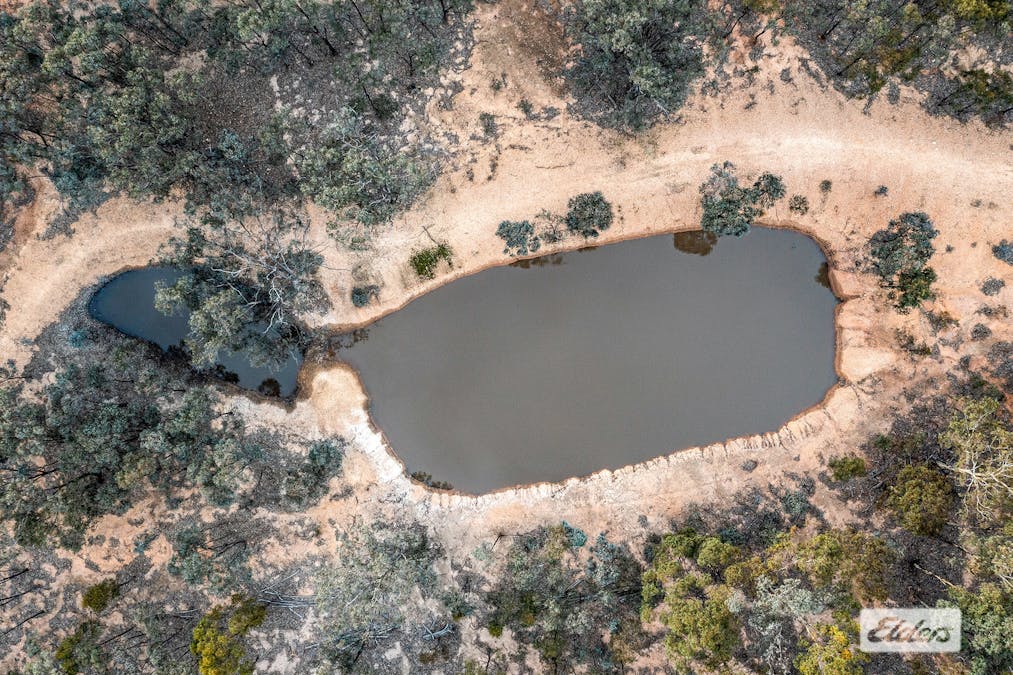 Morrl Morrl Forest Road, Wallaloo East, VIC, 3387 - Image 9