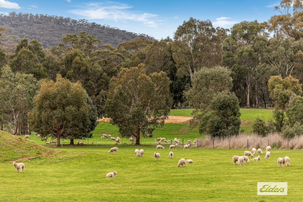 17 Van Every Lane, Glenpatrick, VIC, 3469 - Image 28