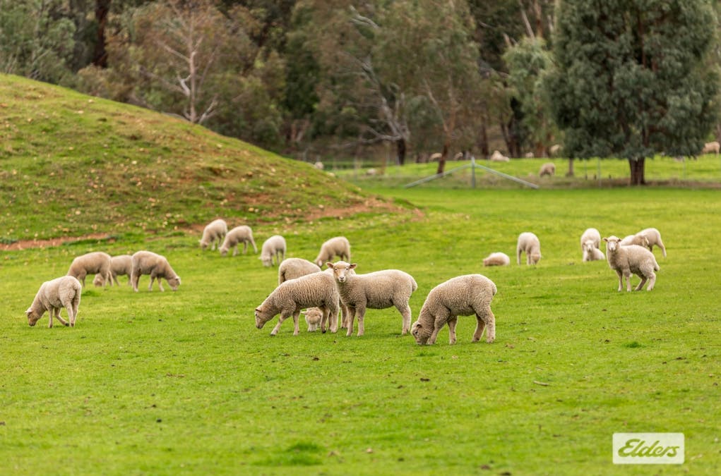 17 Van Every Lane, Glenpatrick, VIC, 3469 - Image 32