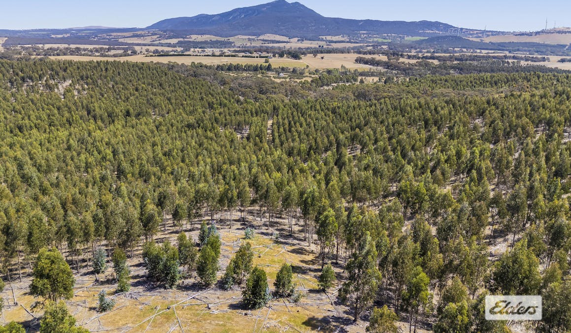 Iron Pot Creek Road, Mount Cole Creek, VIC, 3377 - Image 4