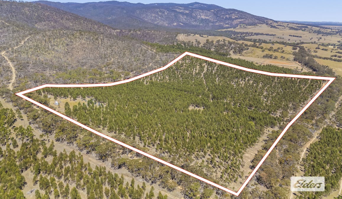 Iron Pot Creek Road, Mount Cole Creek, VIC, 3377 - Image 10
