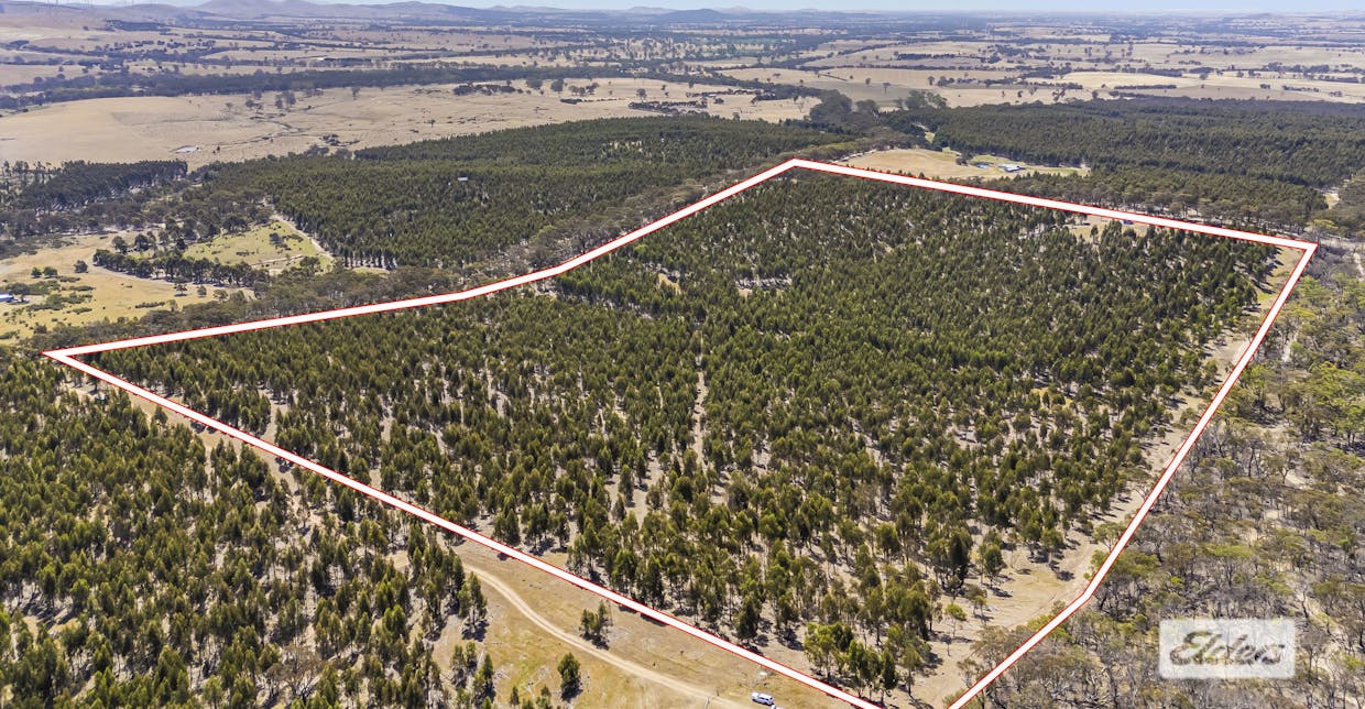 Iron Pot Creek Road, Mount Cole Creek, VIC, 3377 - Image 11