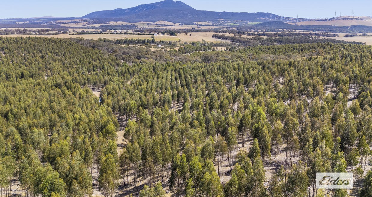 Iron Pot Creek Road, Mount Cole Creek, VIC, 3377 - Image 6
