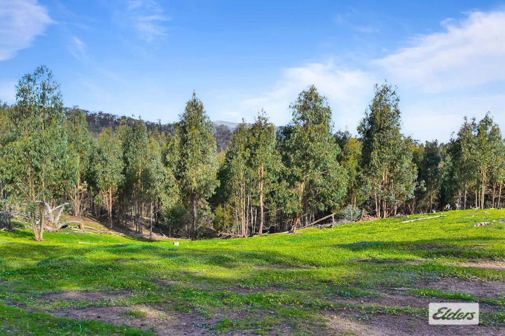 Iron Pot Creek Road, Mount Cole Creek, VIC, 3377 - Image 3