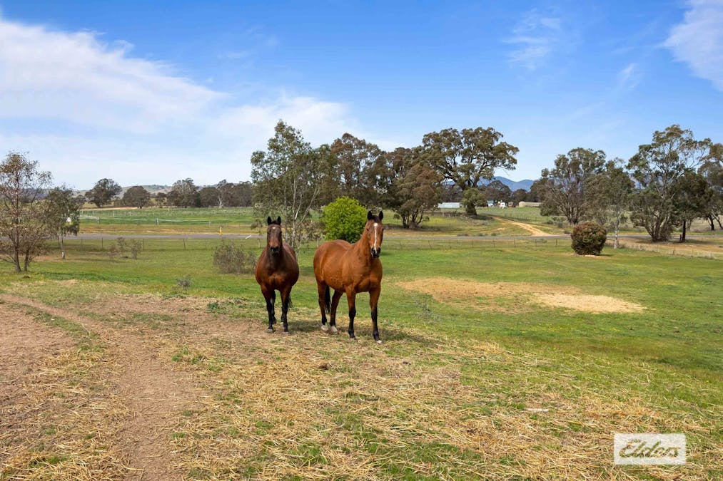 693 Ararat - St Arnaud Road, Crowlands, VIC, 3377 - Image 27