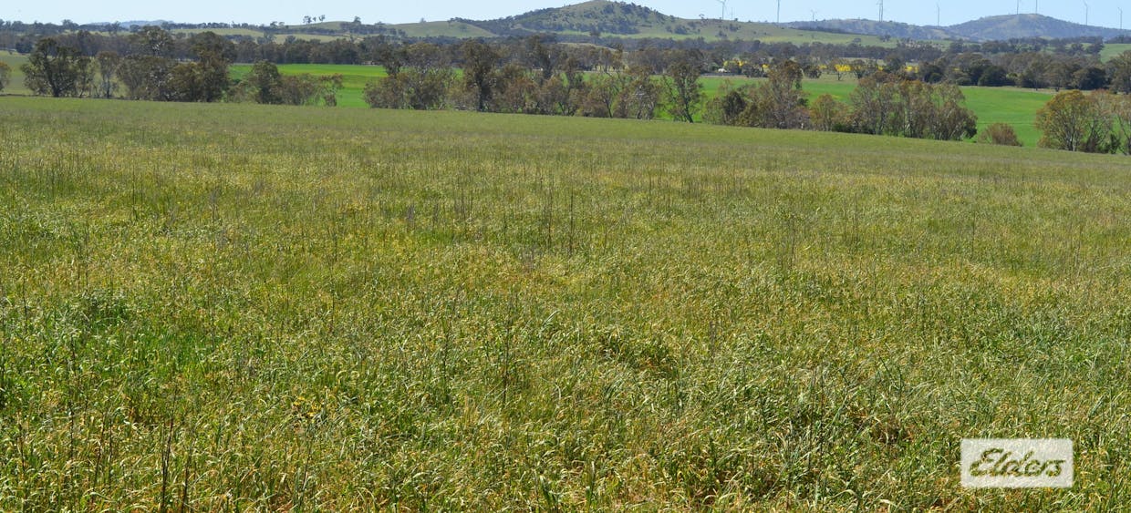 Lot 1-25 Joel Joel Road, Crowlands, VIC, 3377 - Image 11