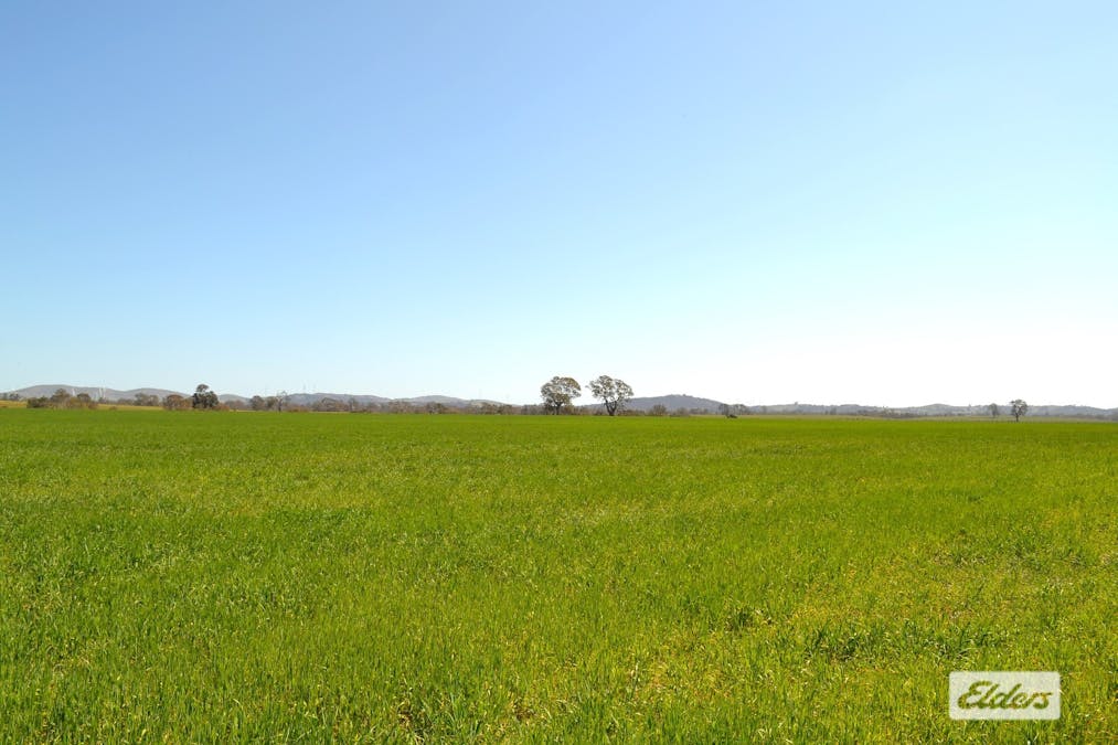 Lot 1-25 Joel Joel Road, Crowlands, VIC, 3377 - Image 9