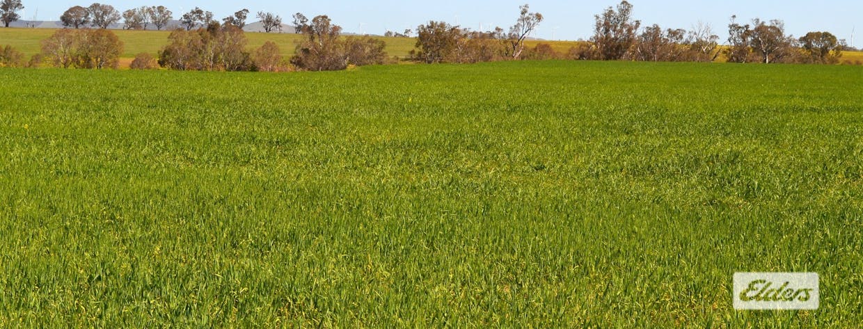 Lot 1-25 Joel Joel Road, Crowlands, VIC, 3377 - Image 8